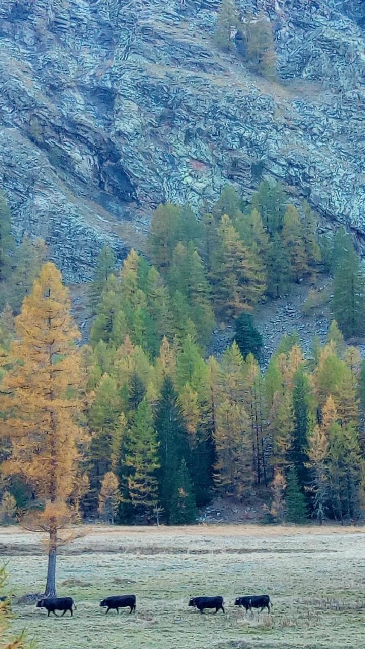 Petit Dahu Hotel Cogne Bagian luar foto