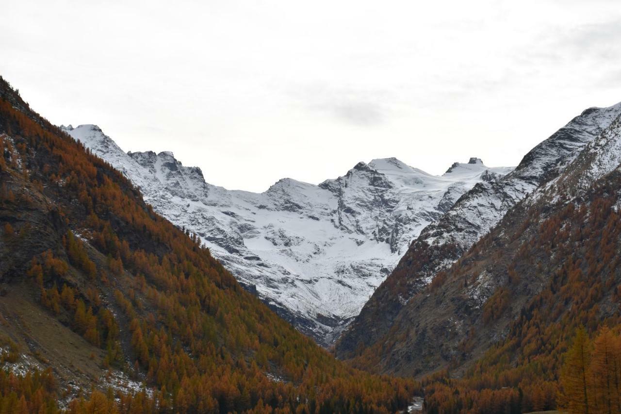 Petit Dahu Hotel Cogne Bagian luar foto